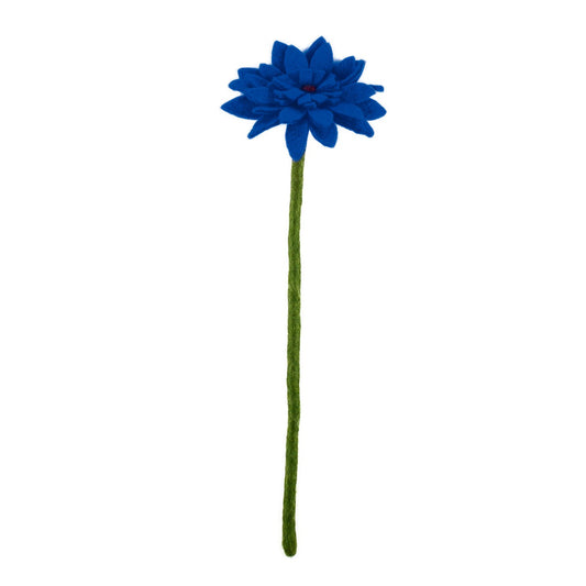 Bloem: Gerbera Blauw