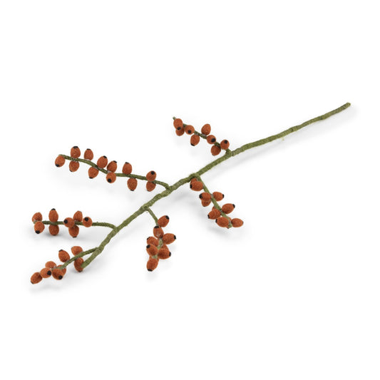 Bloem: Tak Bes Rozenbottel