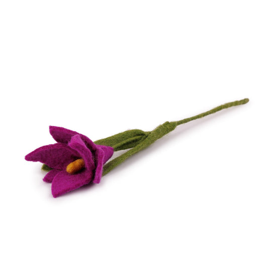 Bloem: Krokus Cyclaam