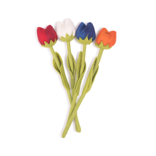 Bloem: Tulp Holland Ass. 4 st.