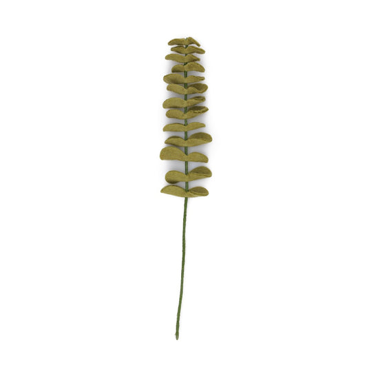 Detailfoto van vilten tak eucalyptus lichtgroen