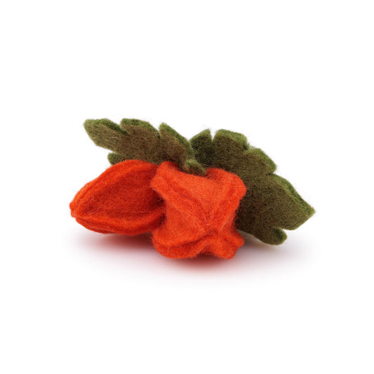 Detailfoto van vilten servetring physalis lampion