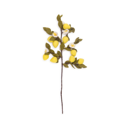 Lemon Branch