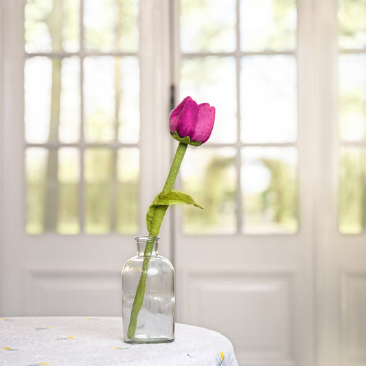 Vilten tulp feline