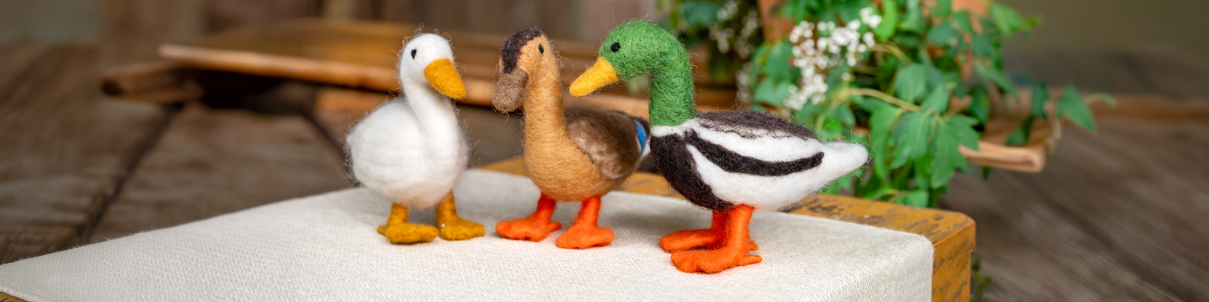 Enten von Hira