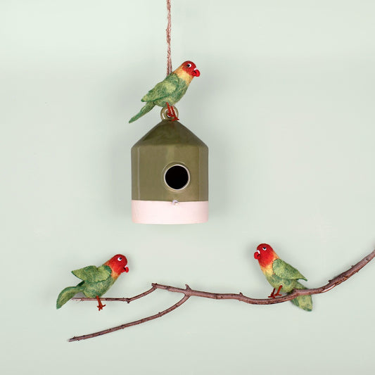 Vogel: Dwergpapegaai