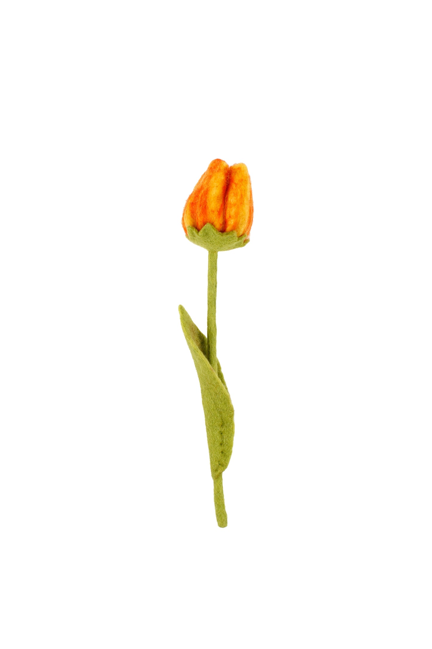 Detailfoto van vilten tulp olivia