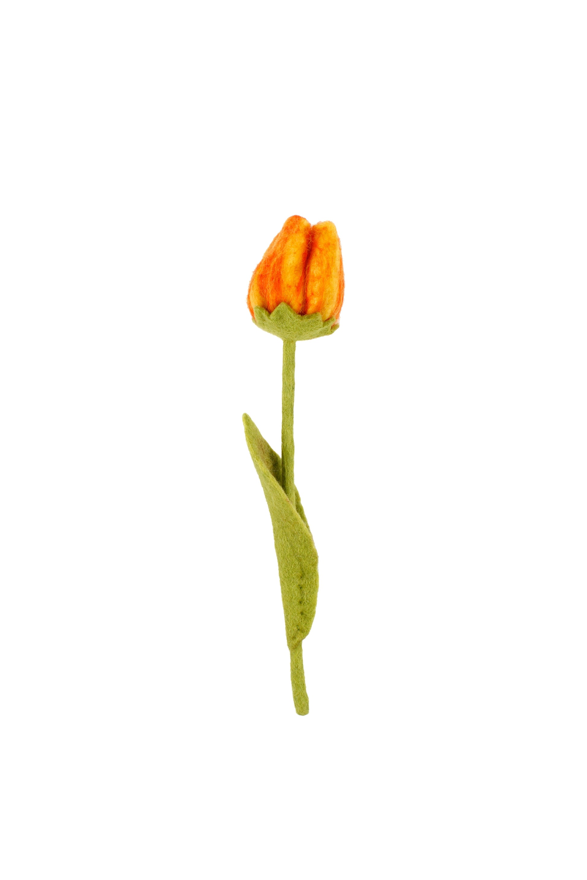 Detailfoto van vilten tulp olivia