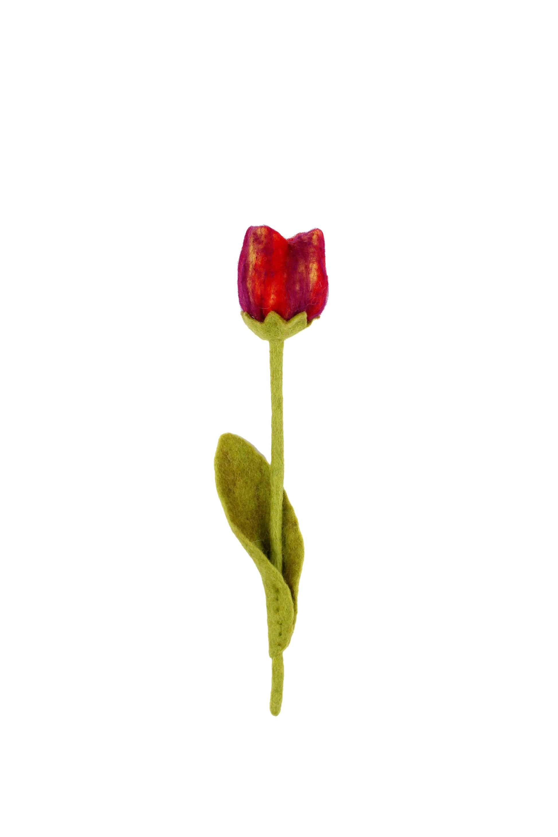Detailfoto van vilten tulp pien