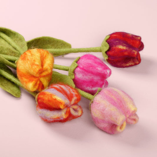 Tulp Ass 5 st.