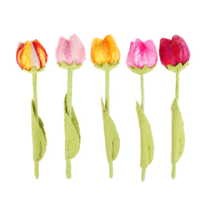 Tulpen-Sortiment, 5 Stück.