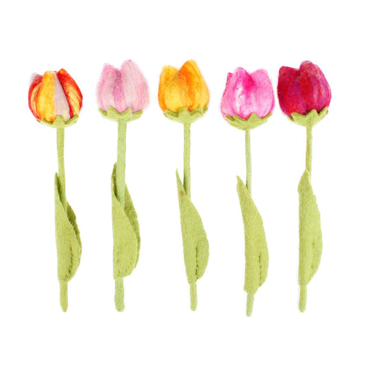 Tulp Ass 5 st.
