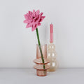 Gerbera Oudroze