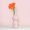Orangefarbene Gerbera