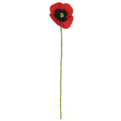 Detailfoto van vilten klaproos