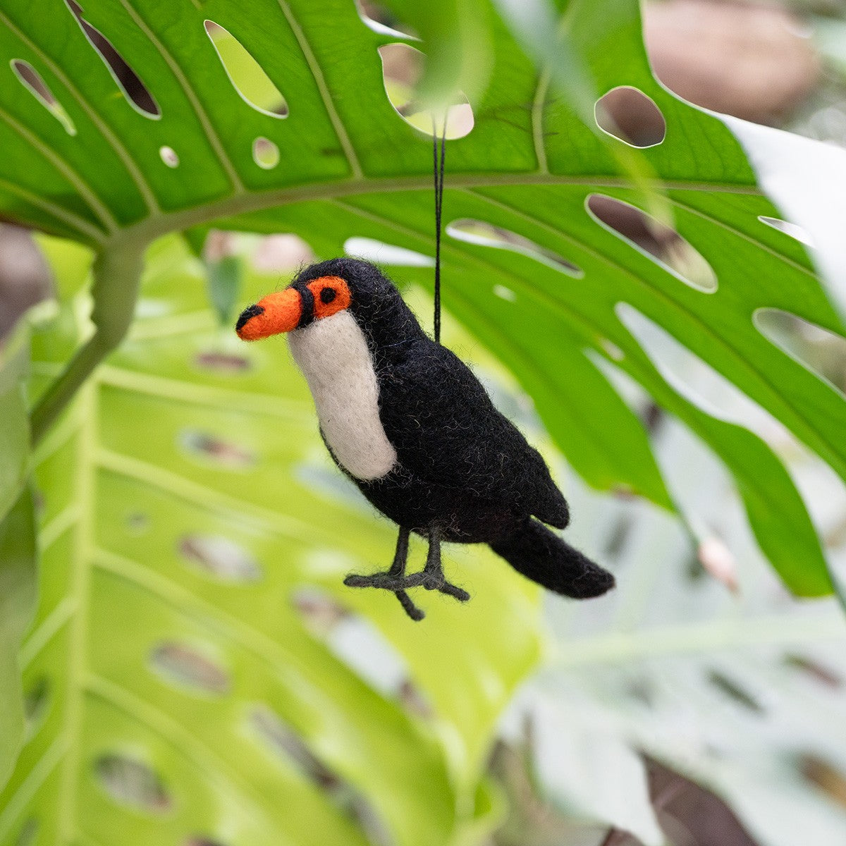 Vilten vogel: toekan