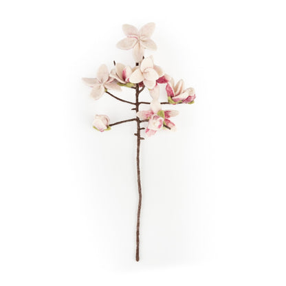 Detailfoto van vilten tak magnolia
