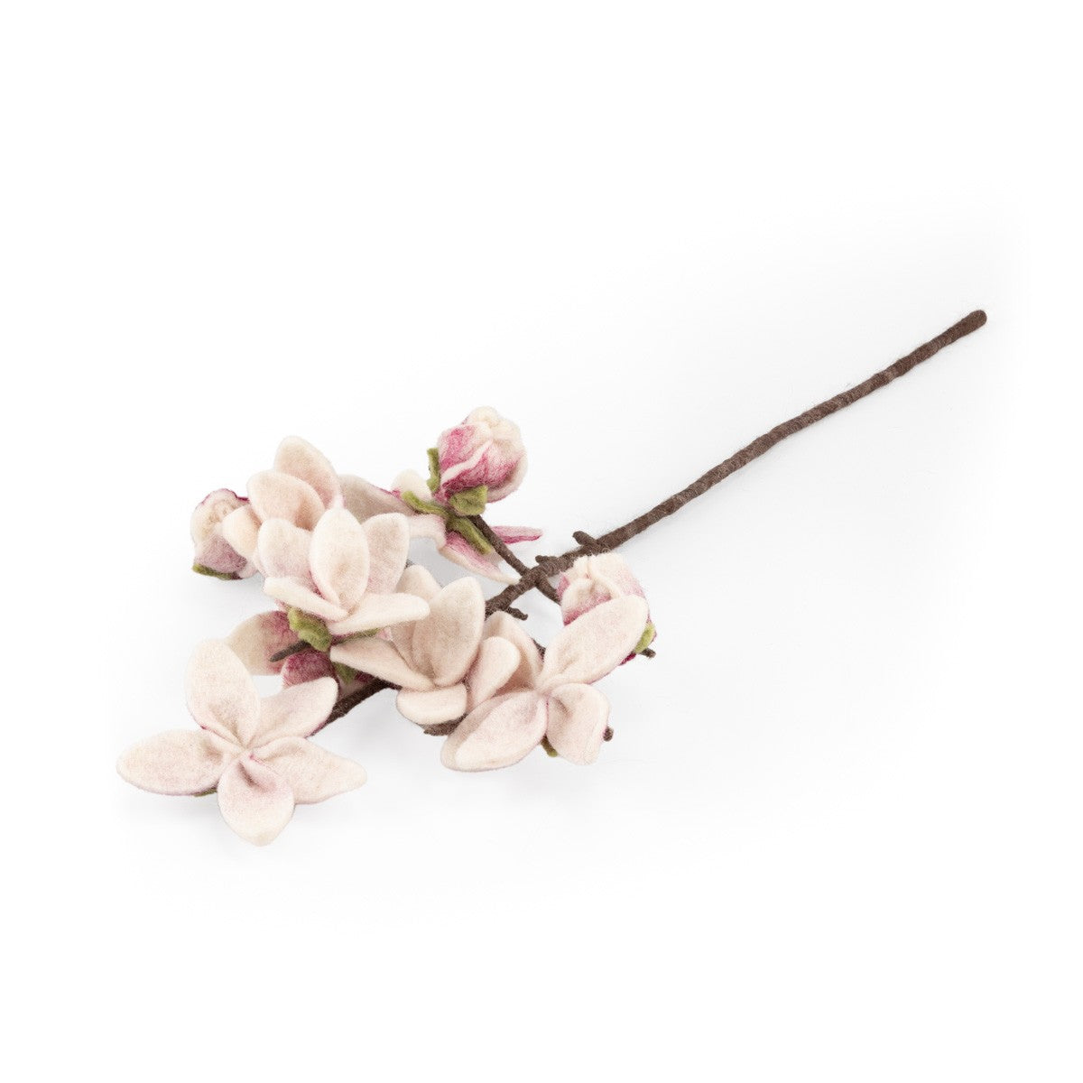 Detailfoto van vilten tak magnolia