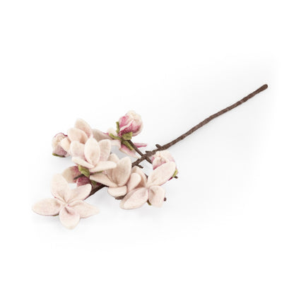 Detailfoto van vilten tak magnolia