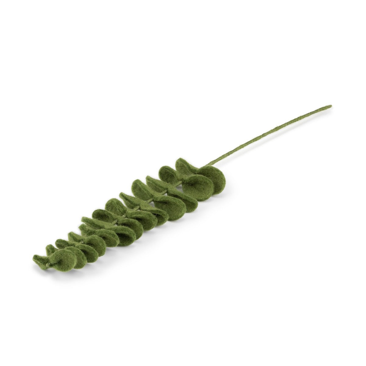 Detailfoto van vilten tak eucalyptus
