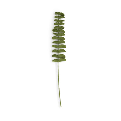 Detailfoto van vilten tak eucalyptus