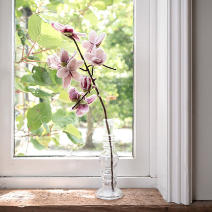 Detailfoto van vilten tak magnolia