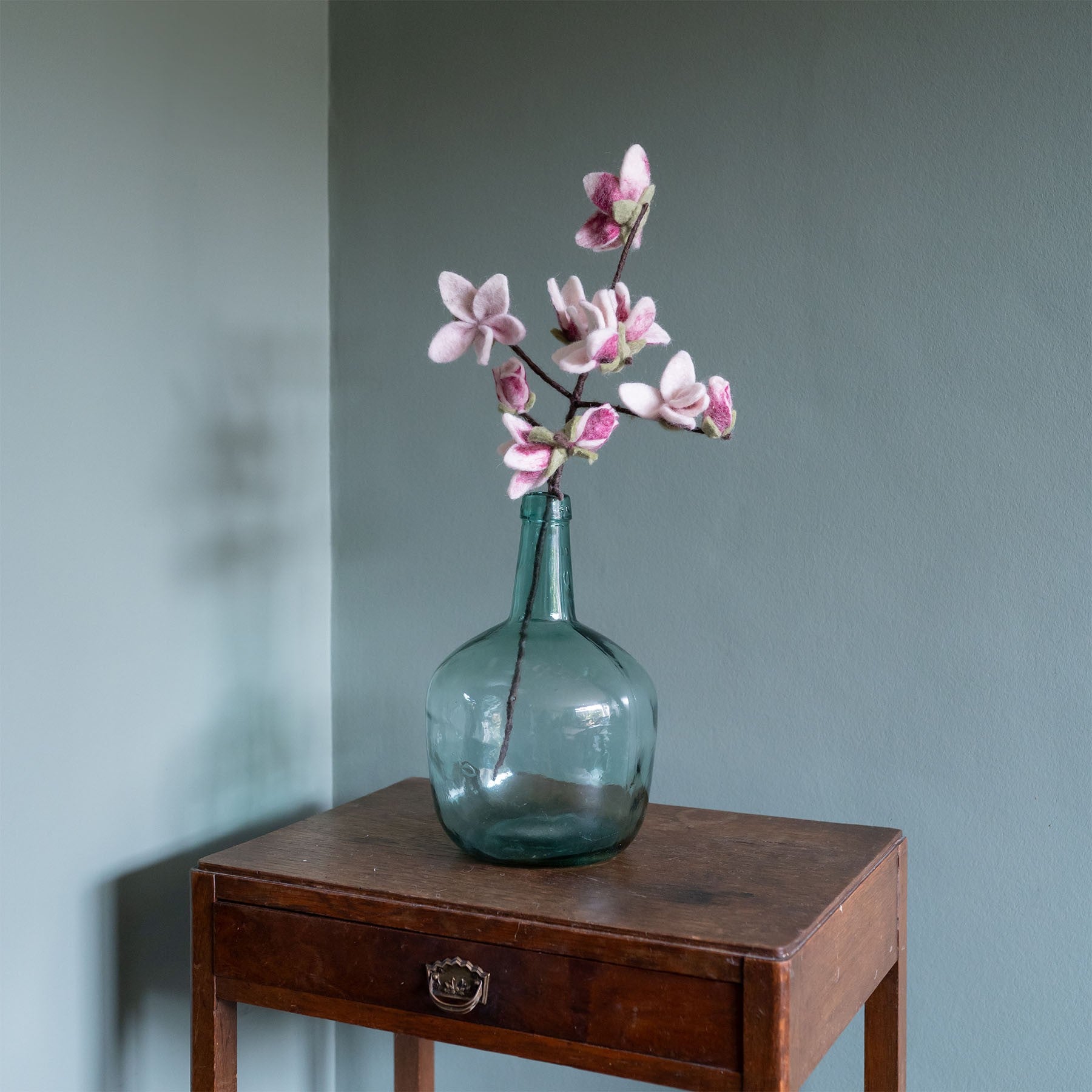 Detailfoto van vilten tak magnolia