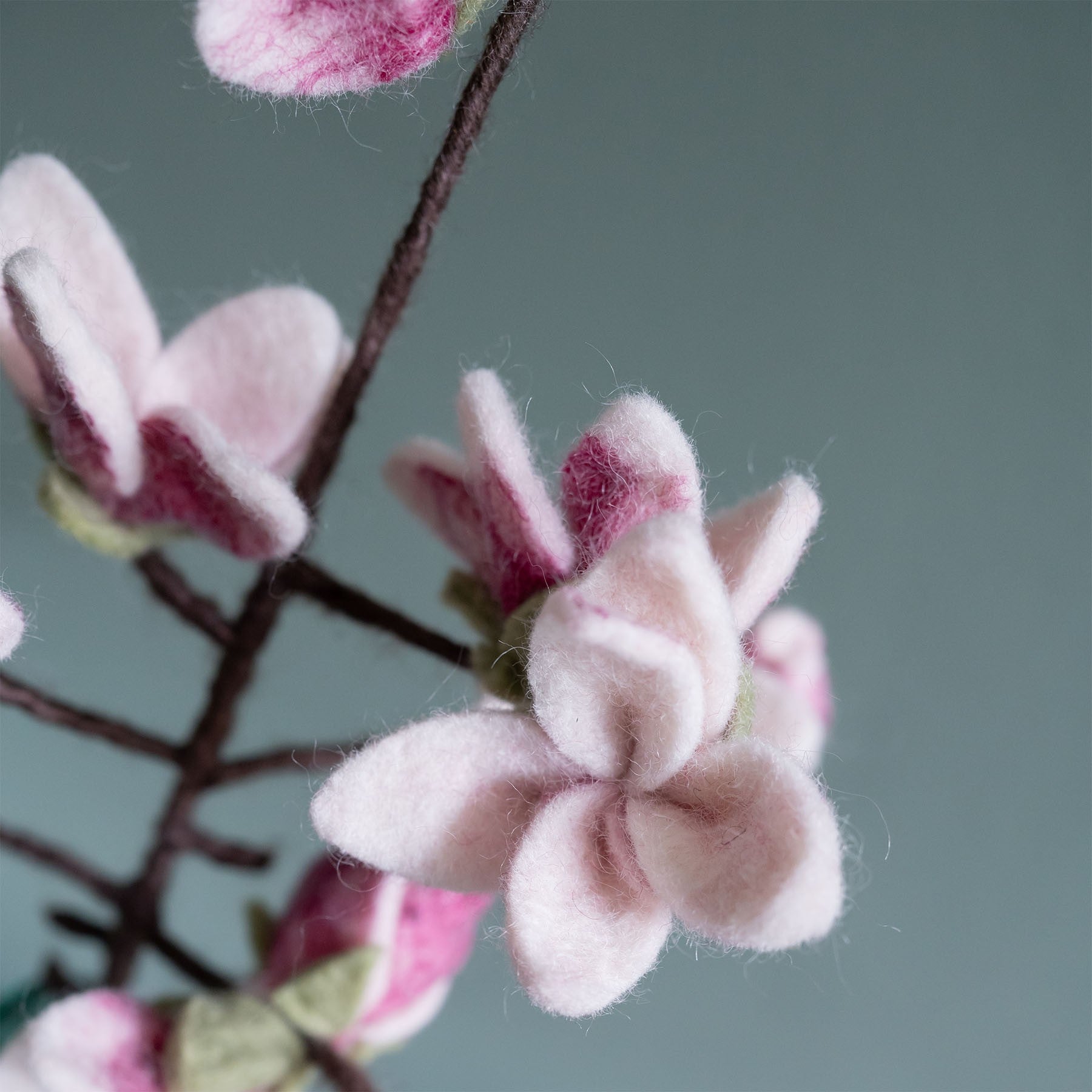 Detailfoto van vilten tak magnolia