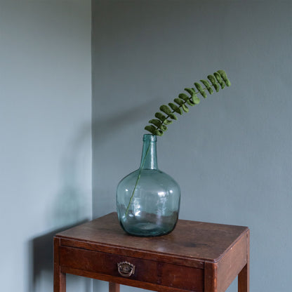 Detailfoto van vilten tak eucalyptus