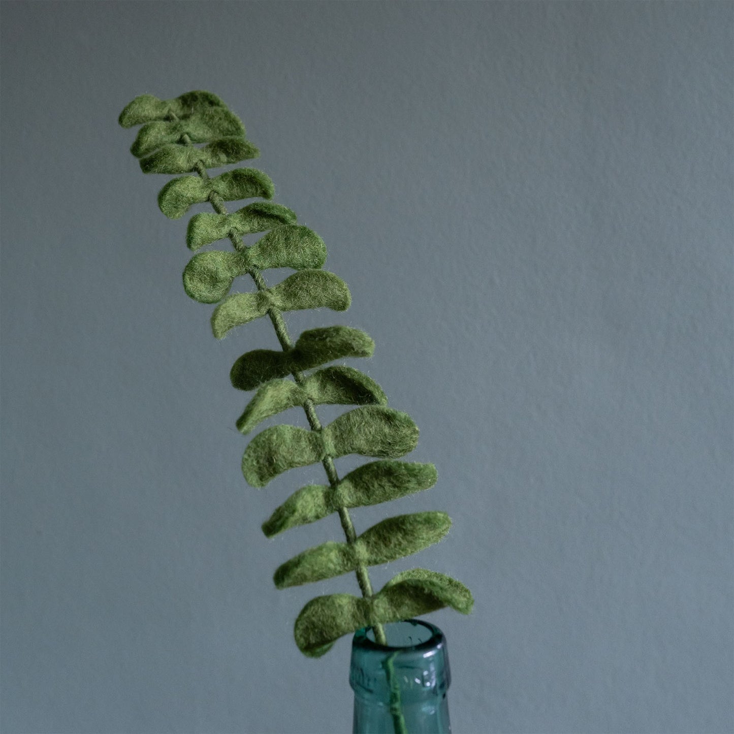 Detailfoto van vilten tak eucalyptus