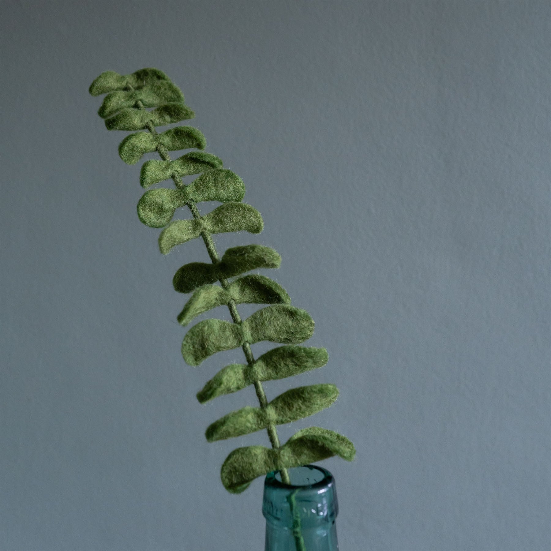 Detailfoto van vilten tak eucalyptus