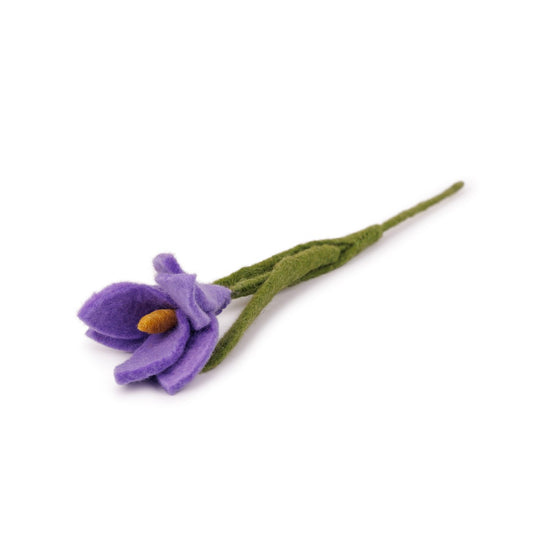 Bloem: Krokus Lila