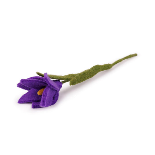 Bloem: Krokus Paars