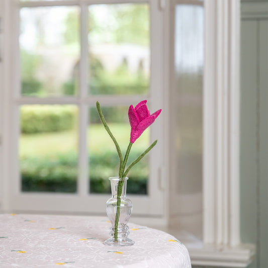 Bloem: Krokus Fuchsia