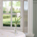 White Crocus
