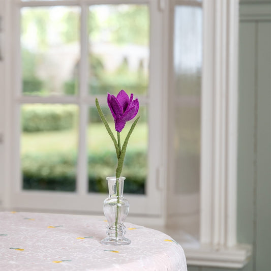 Bloem: Krokus Cyclaam