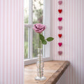 Rose Light Pink