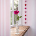 Rosenfuchsia