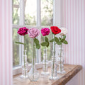 Pink-Red Rose Assorted 5 pcs.