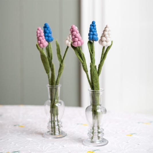 Bloem: Druifje Assorti 6 st.