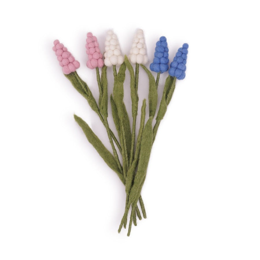 Bloem: Druifje Assorti 6 st.