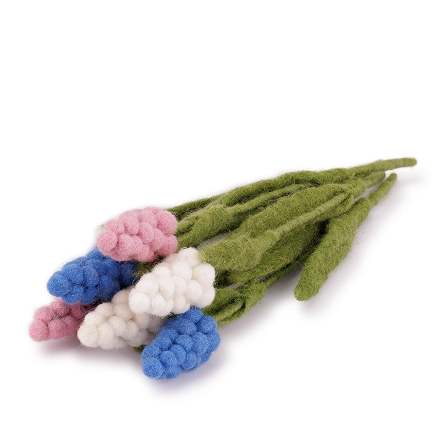 Bloem: Druifje Assorti 6 st.