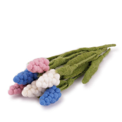 Bloem: Druifje Assorti 6 st.