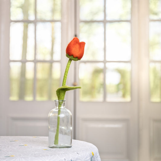 Vilten tulp odile