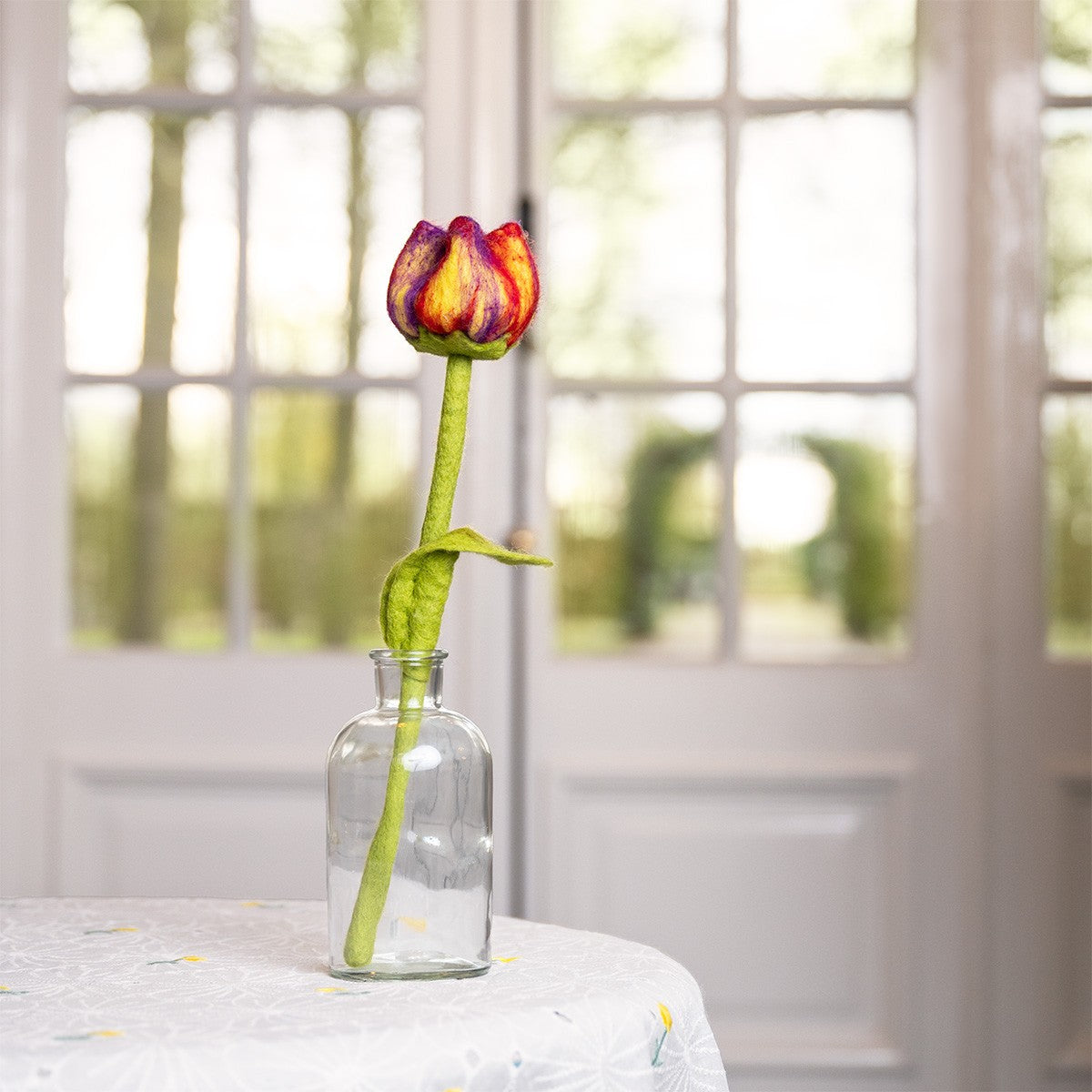 Vilten tulp pien