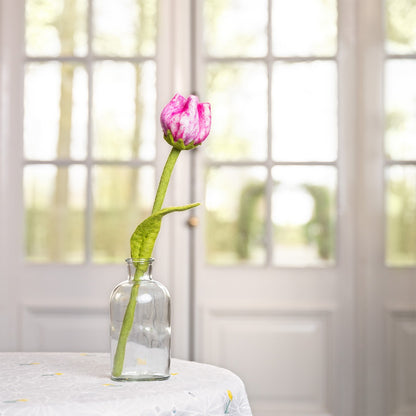 Vilten tulp flora