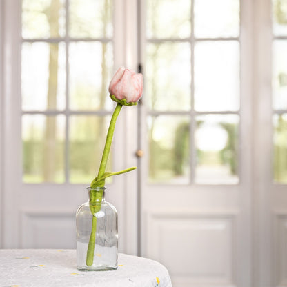 Vilten tulp zoë