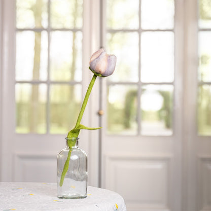 Vilten tulp livia