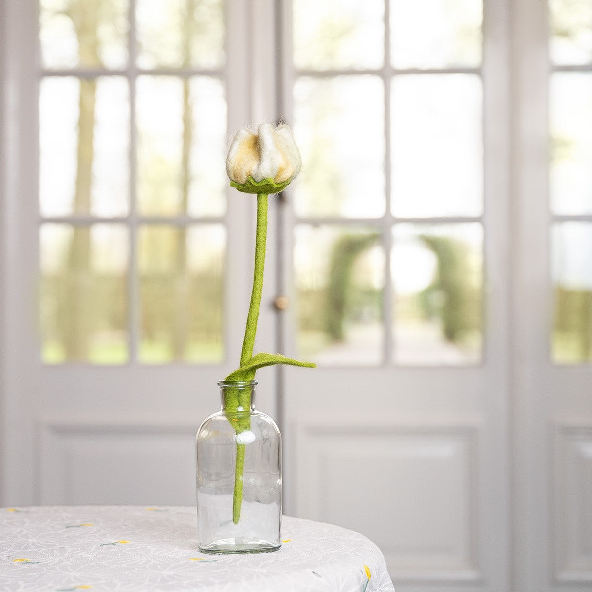 Vilten tulp gini