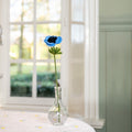Anemone Hellblau